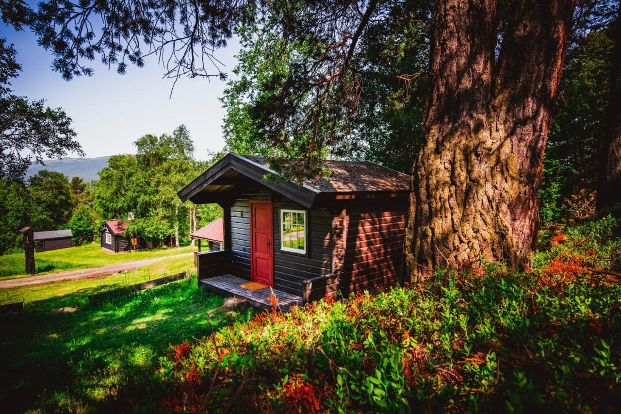 Ljoshaugen Camping 杜姆奥斯 外观 照片